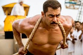 Sultan Best Salman khan films 2016