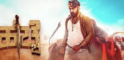 Hacche Box Office Collection