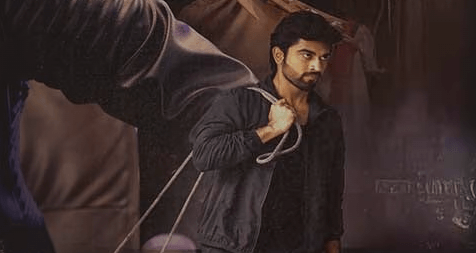 Mathru Box Office Earnings