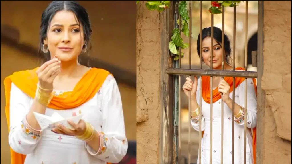 Ikk Kudi Day 25 Box Office Collection