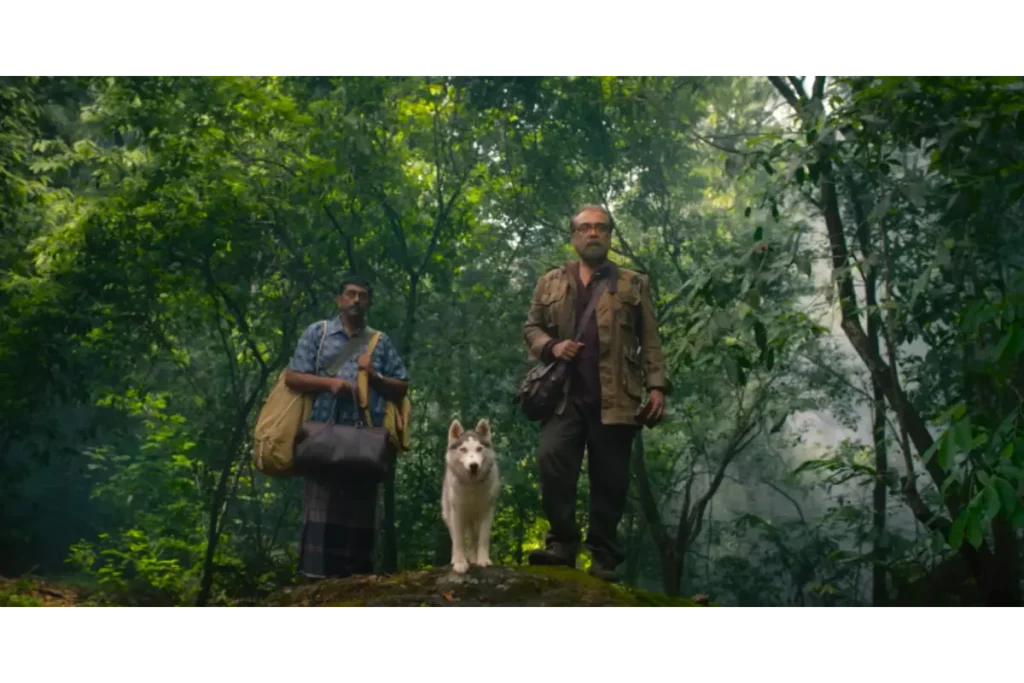 Eko Day 18 Box Office Collection