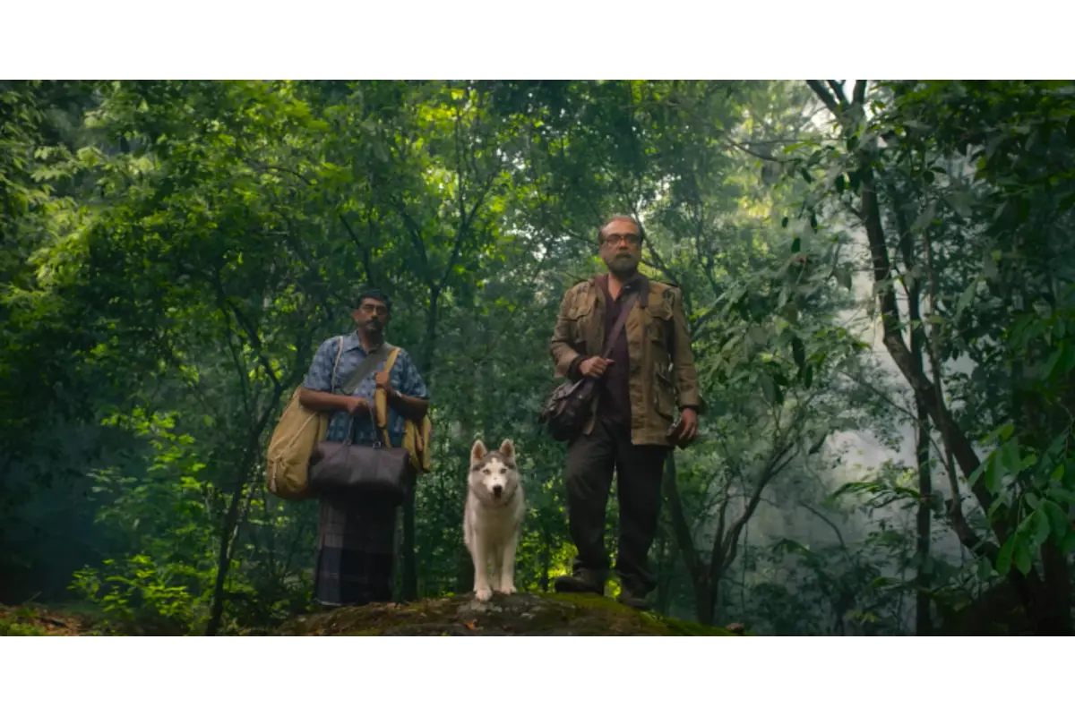 Eko Day 16 Box office Collection