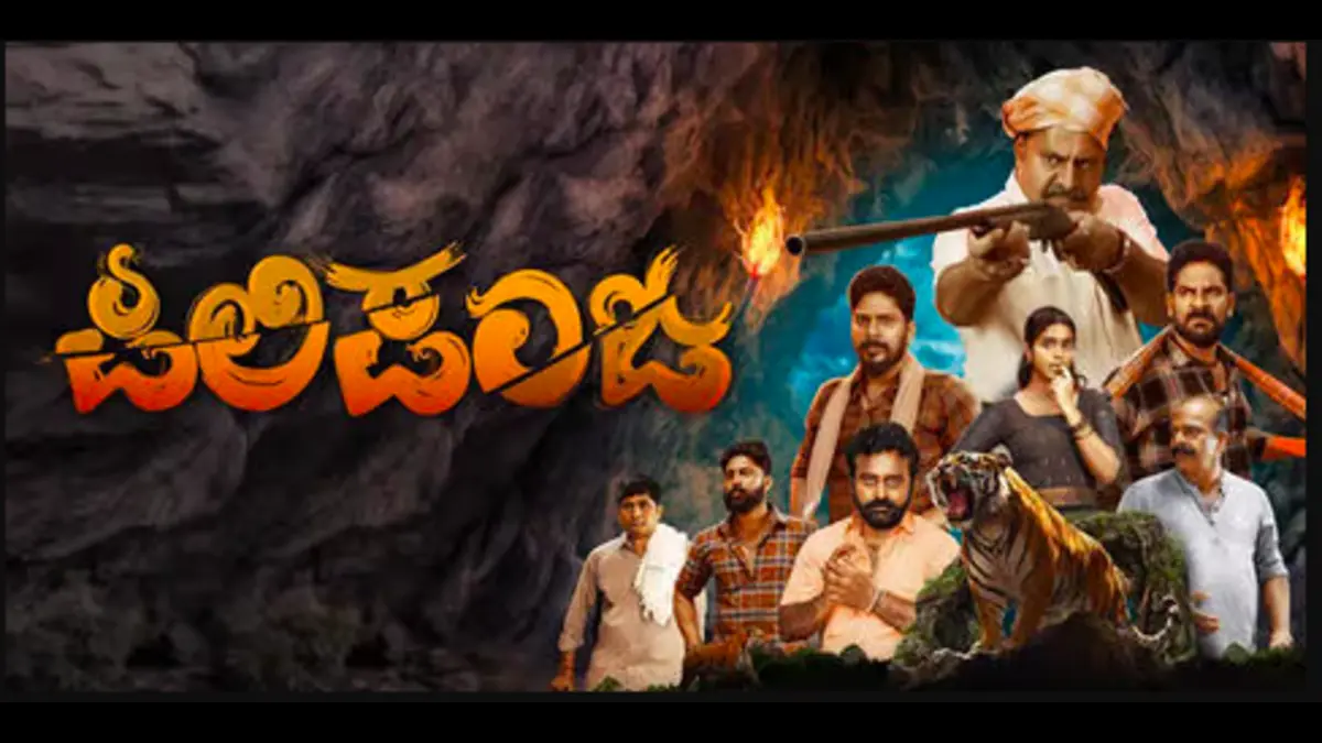 Pili Panja movie collection