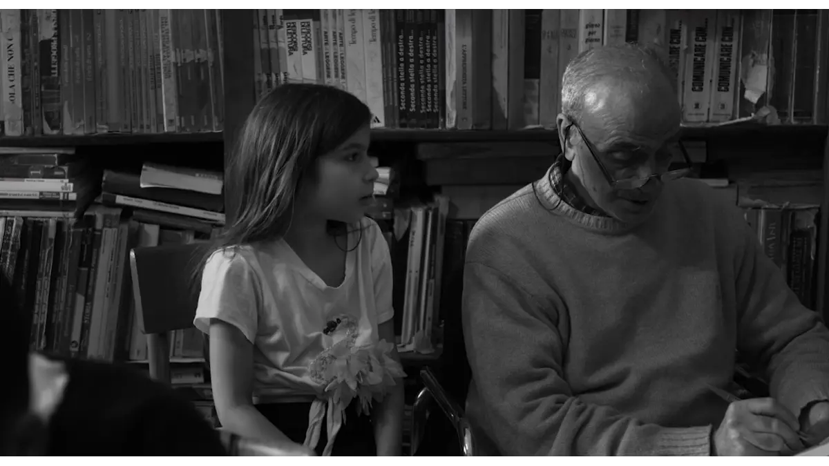 Pompei Below the Clouds box office collection