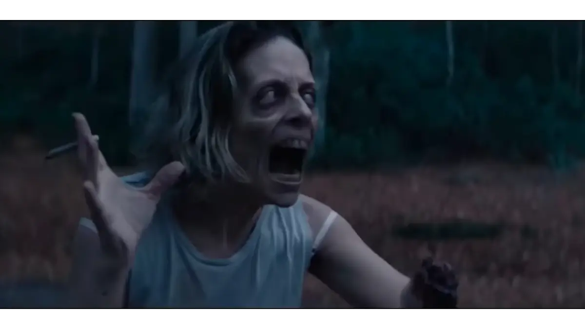 Red Riding box office collection