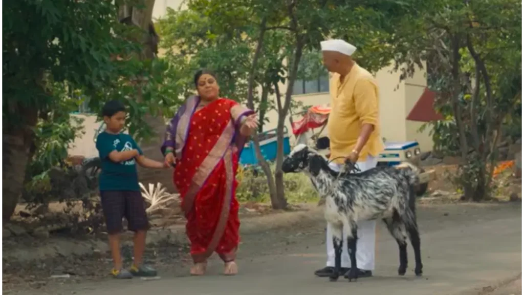 Bhagubai box office collection