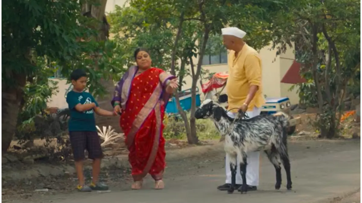 Bhagubai box office collection