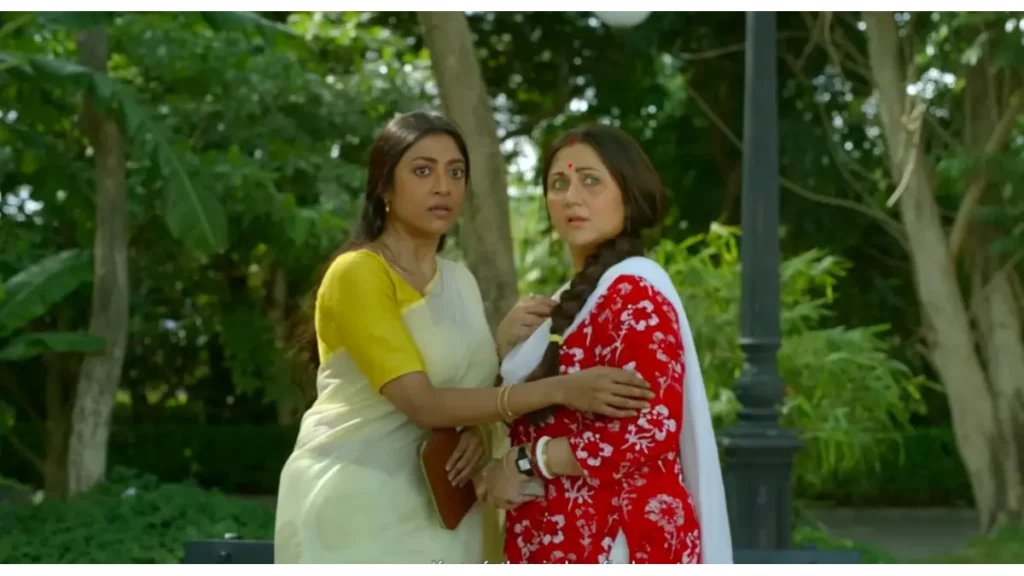 Bibi Payra box office collection