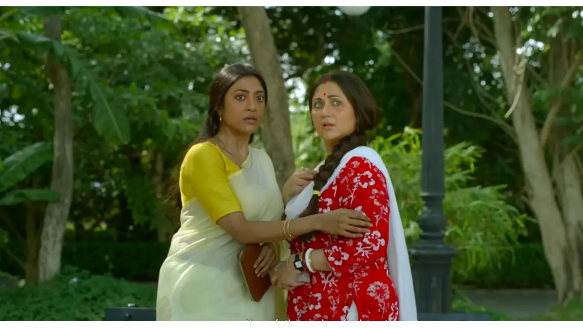 Bibi Payra box office collection