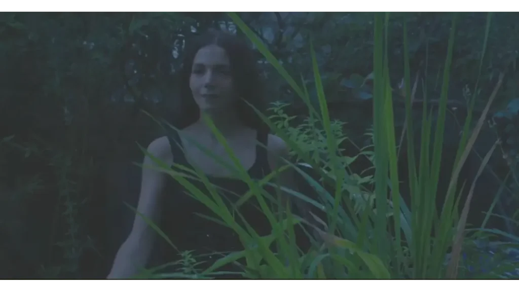 Carl Jackson's The Well box office collection