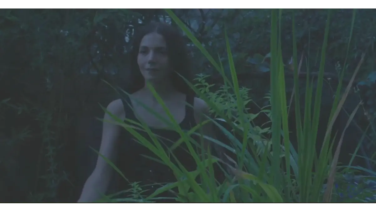 Carl Jackson's The Well box office collection