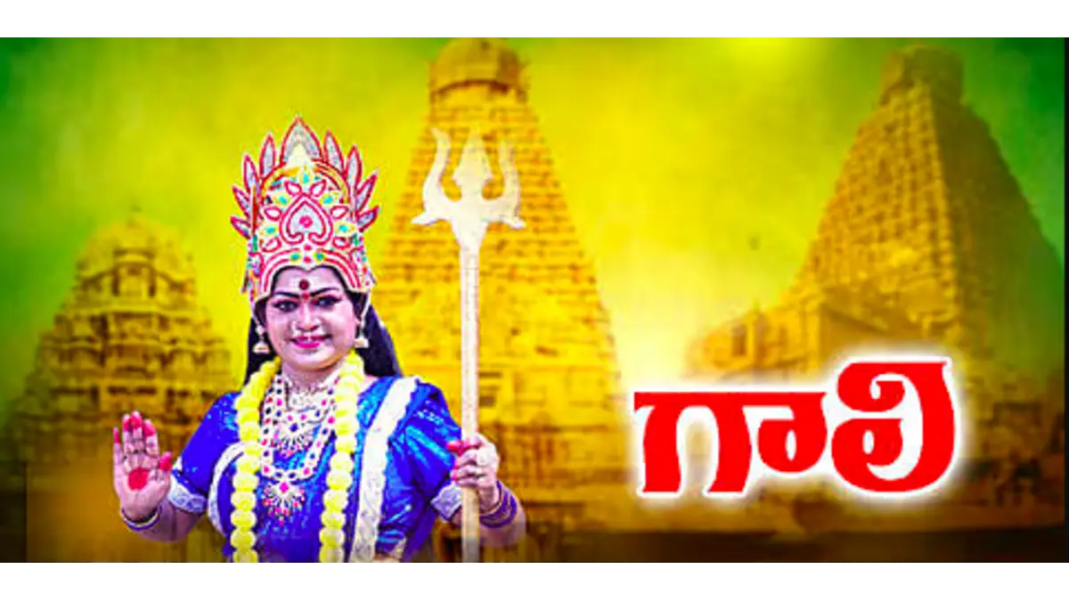 Gaali box office collection