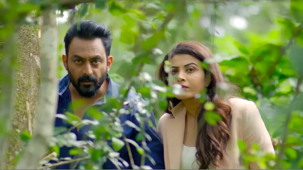 Kaada box office collection