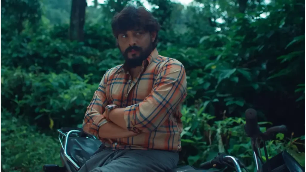 Peter box office collection