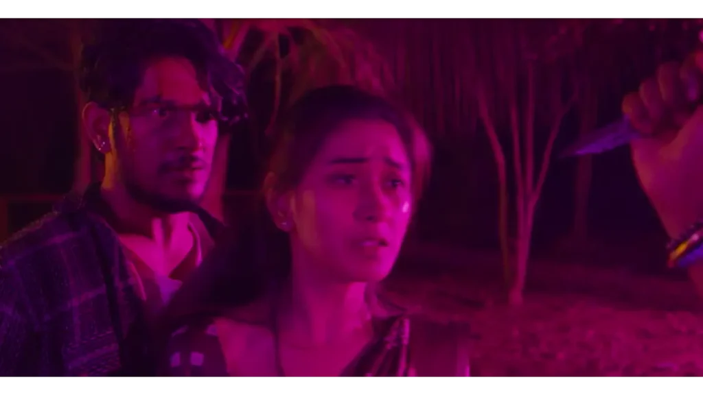 Premi box office collection