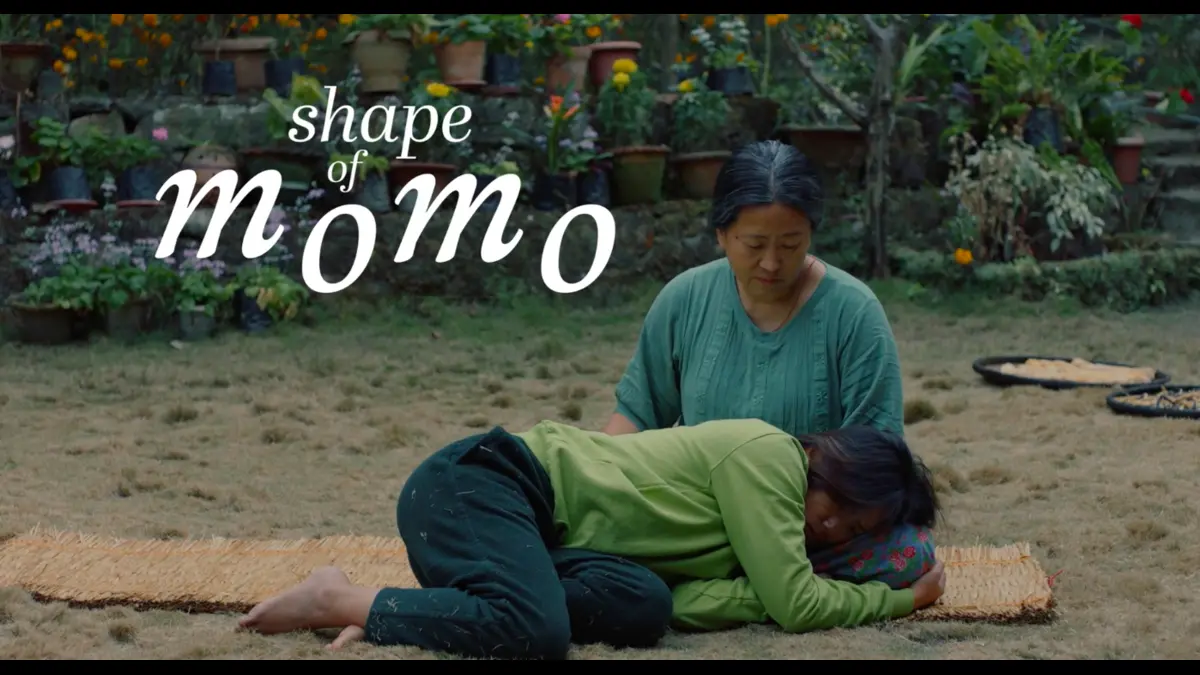 Shape of Momo Movie Box Office Collection