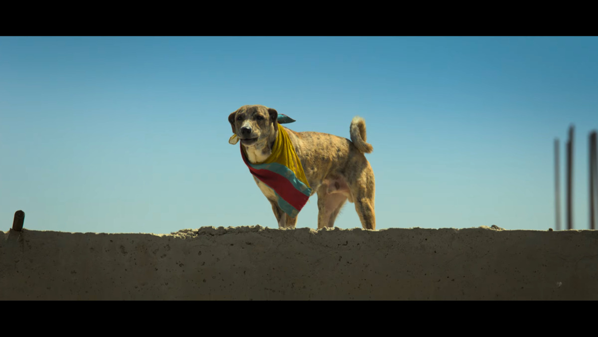Ohh My Dog 2026
