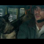 The Dog Stars Box Office Collection | Worldwide The Dog Stars