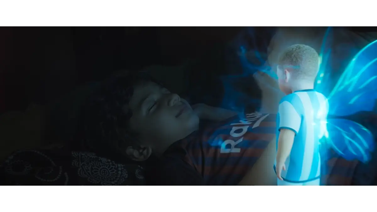 7 Star Boys Box Office Collection