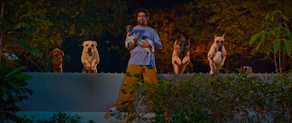Asambhauuu Box Office Collection