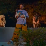 Asambhauuu Box Office Collection