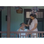 Dwidha Box Office Collection