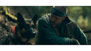 Heart of the Beast box office collection
