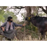 Maremma Box Office Collection | Day Wise Maremma Box Office Collection