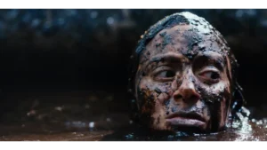 Beware Boiúna box office collection