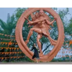Bhed Box Office Collection Bhed box office collection