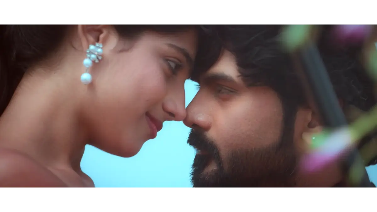 Kitti box office collection